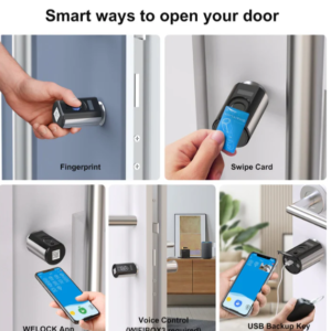 WELOCK Smart Lock Touch63 Fingerprint Door Lock for Euro Profile Cylinder