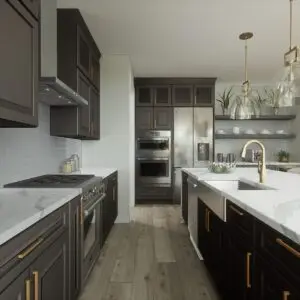 Home & Kitchen