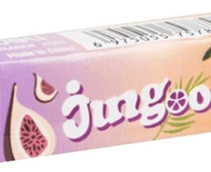 ERASER 6.3X1.4X1CM JINGOO H313 PURPLE